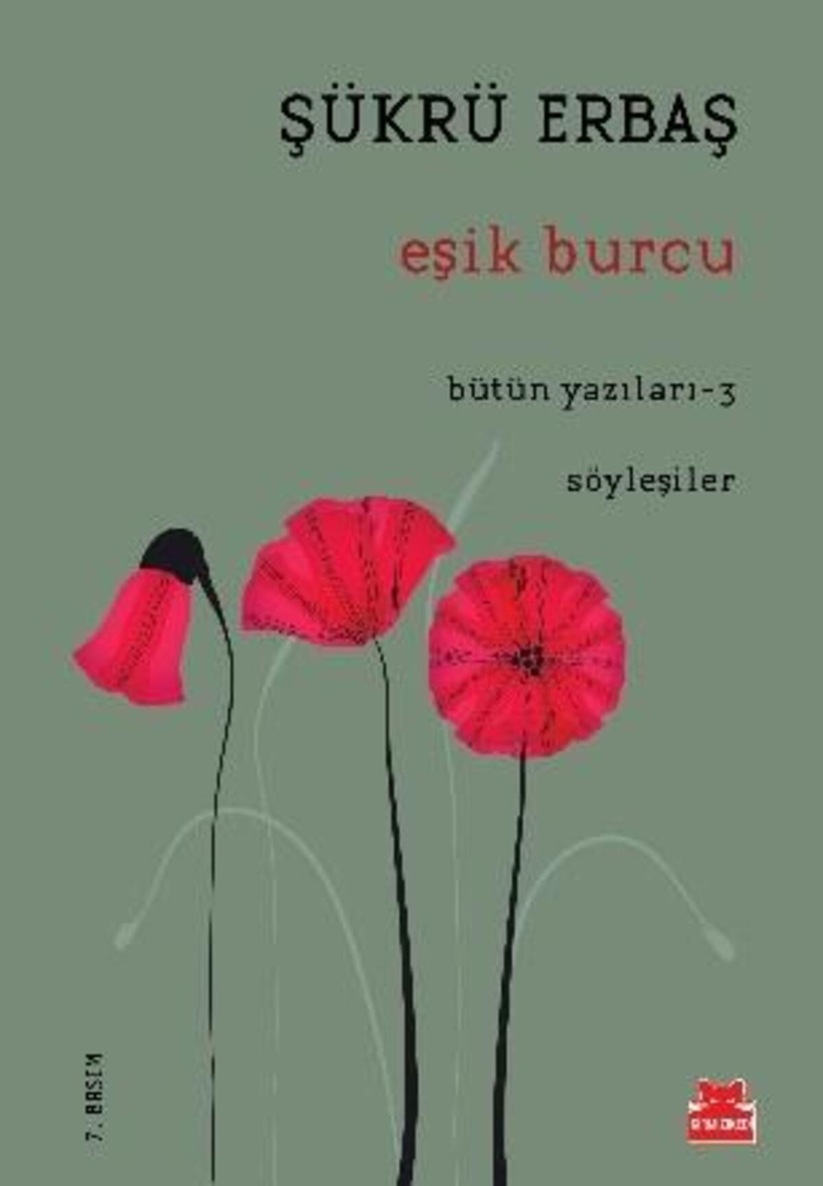 Kırmızı Kedi