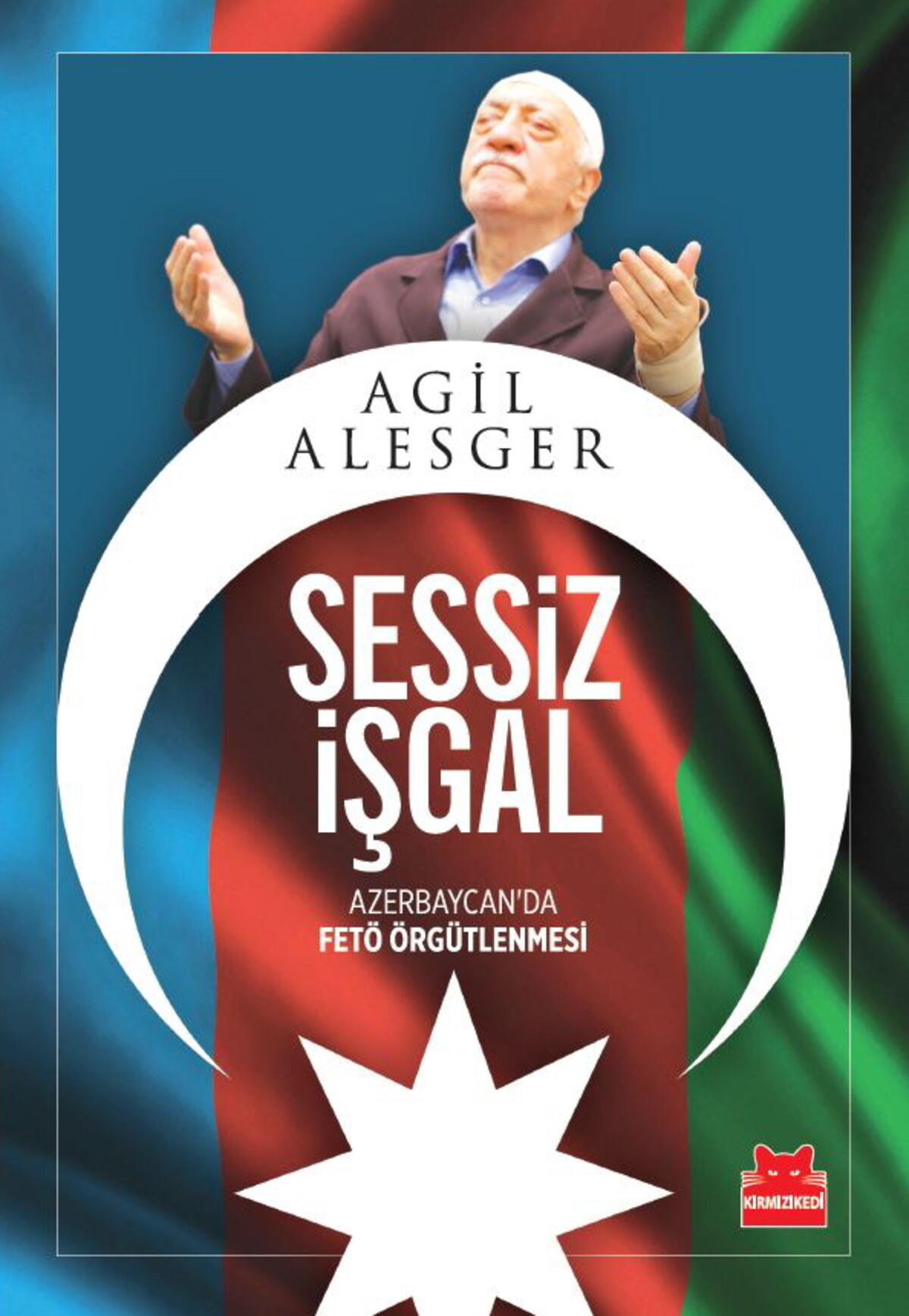 Kırmızı Kedi