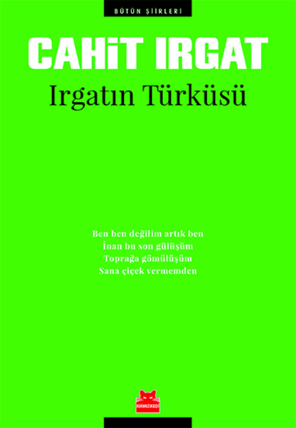Kırmızı Kedi
