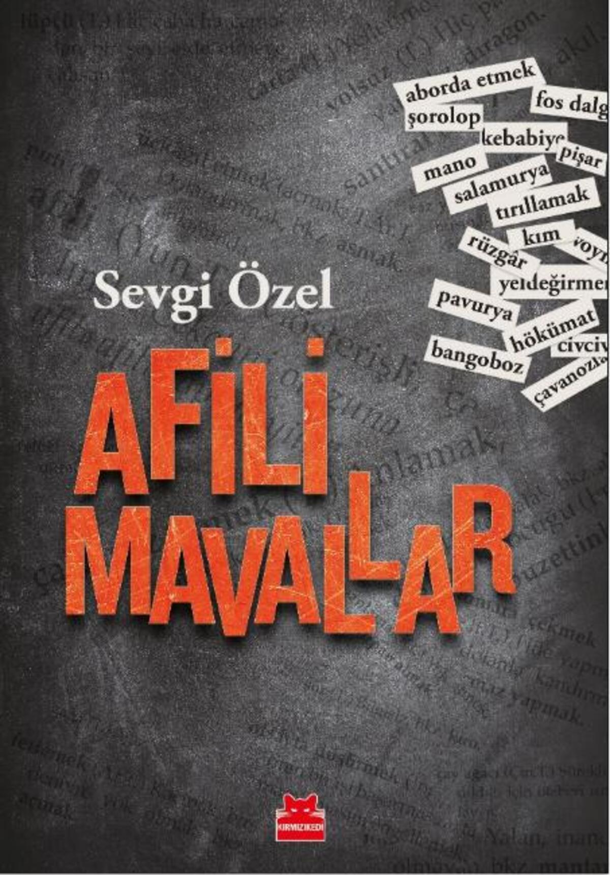 Kırmızı Kedi