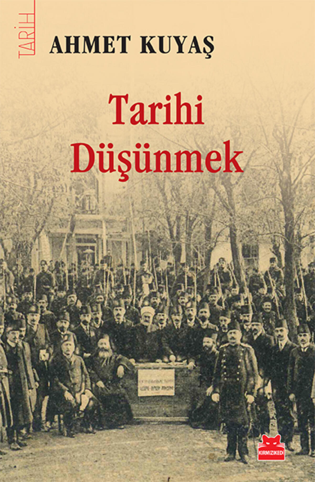 Kırmızı Kedi