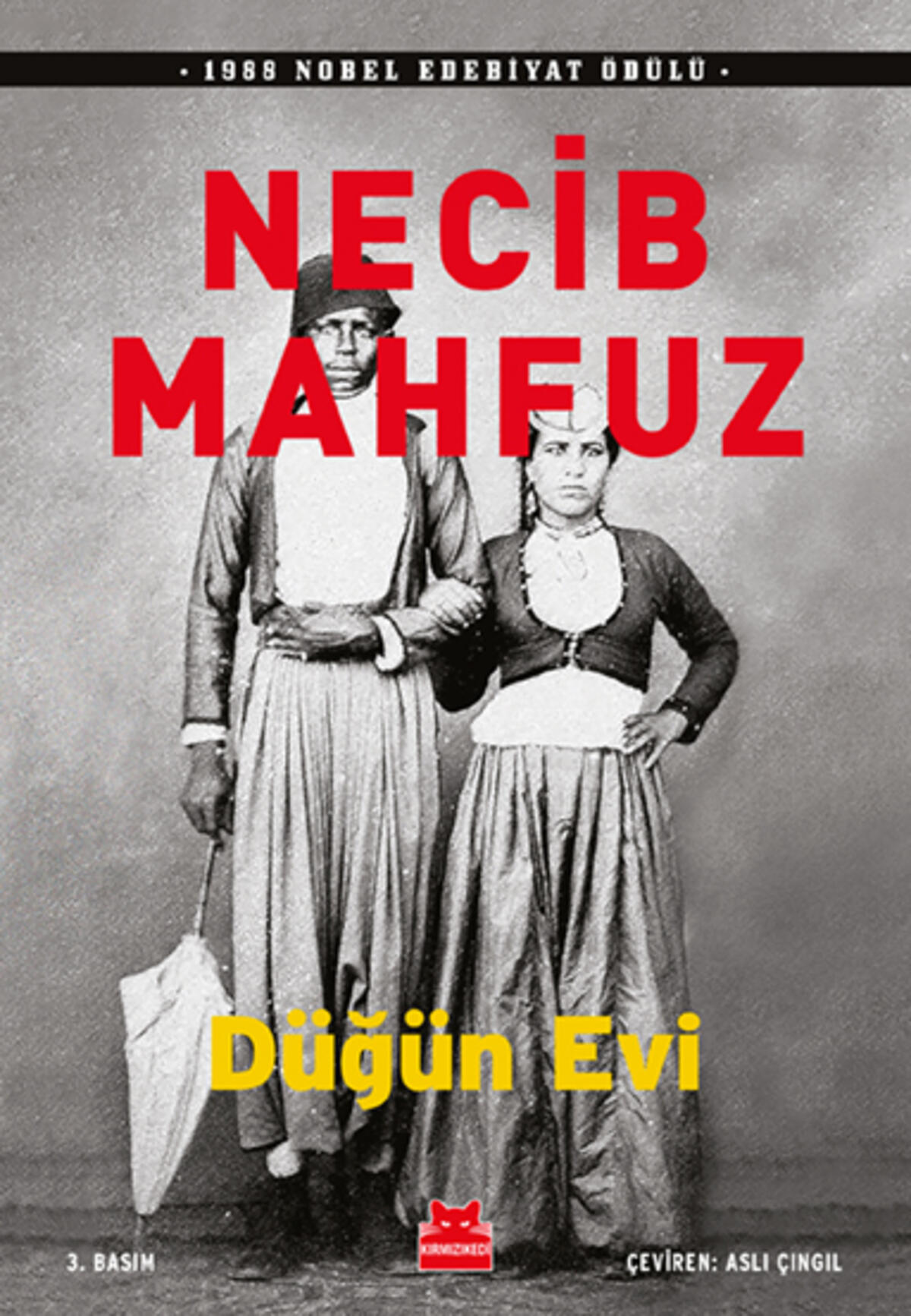 Kırmızı Kedi