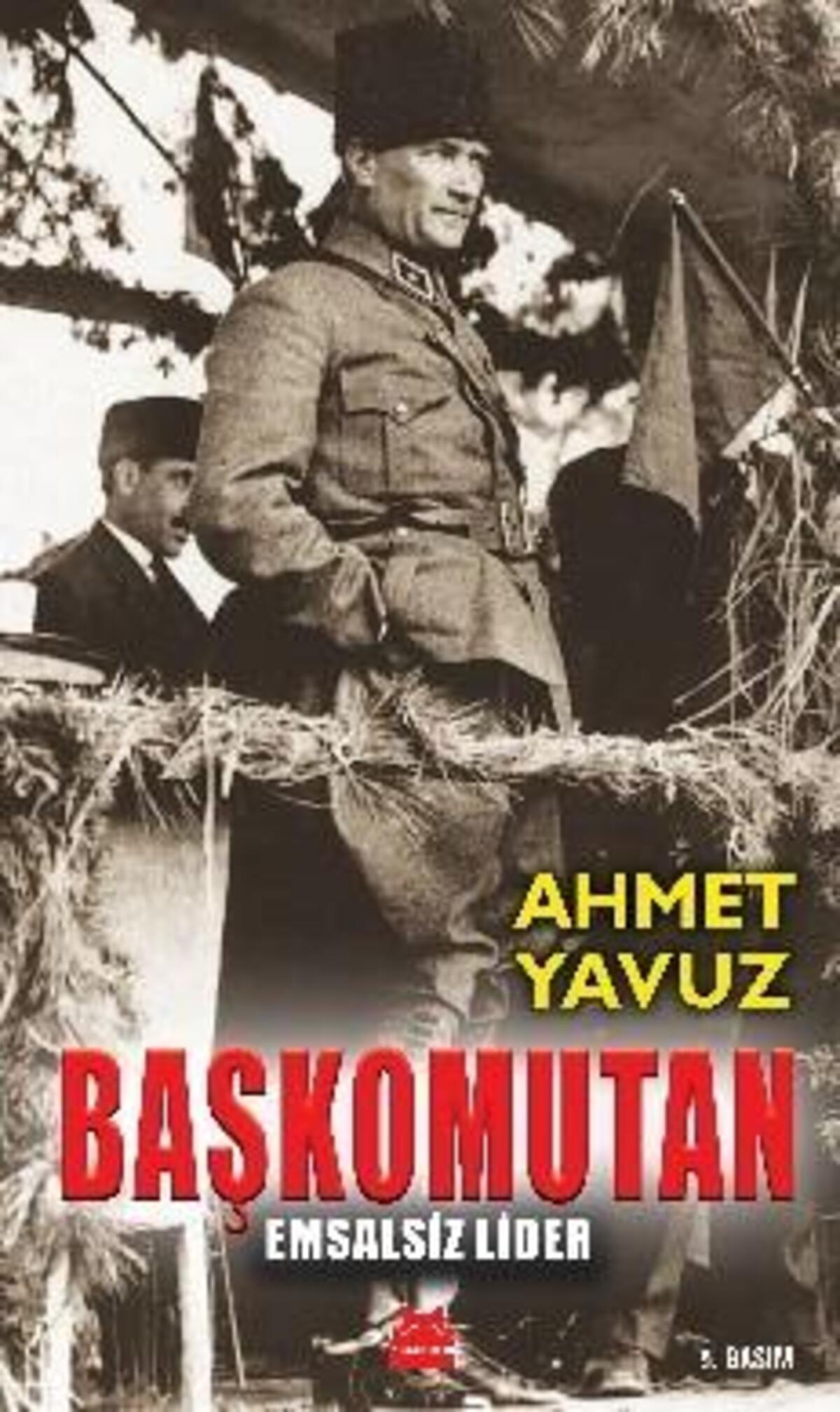 Kırmızı Kedi