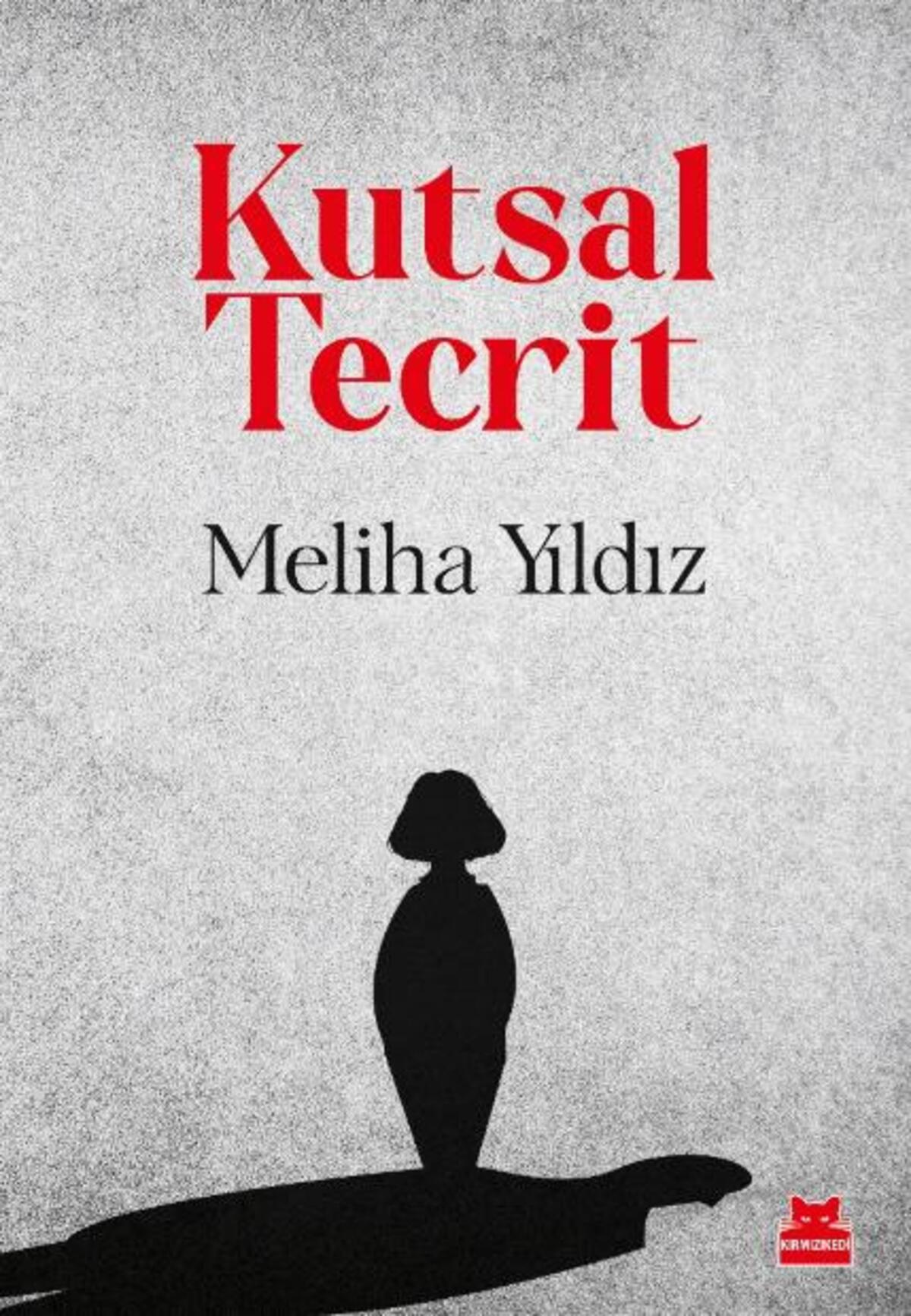 Kırmızı Kedi