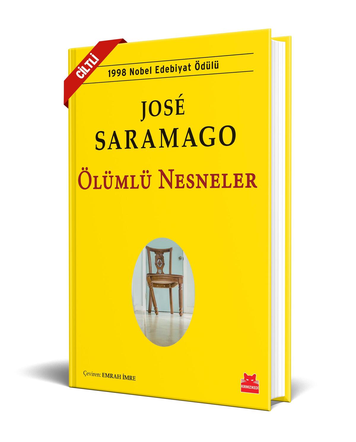 Kırmızı Kedi
