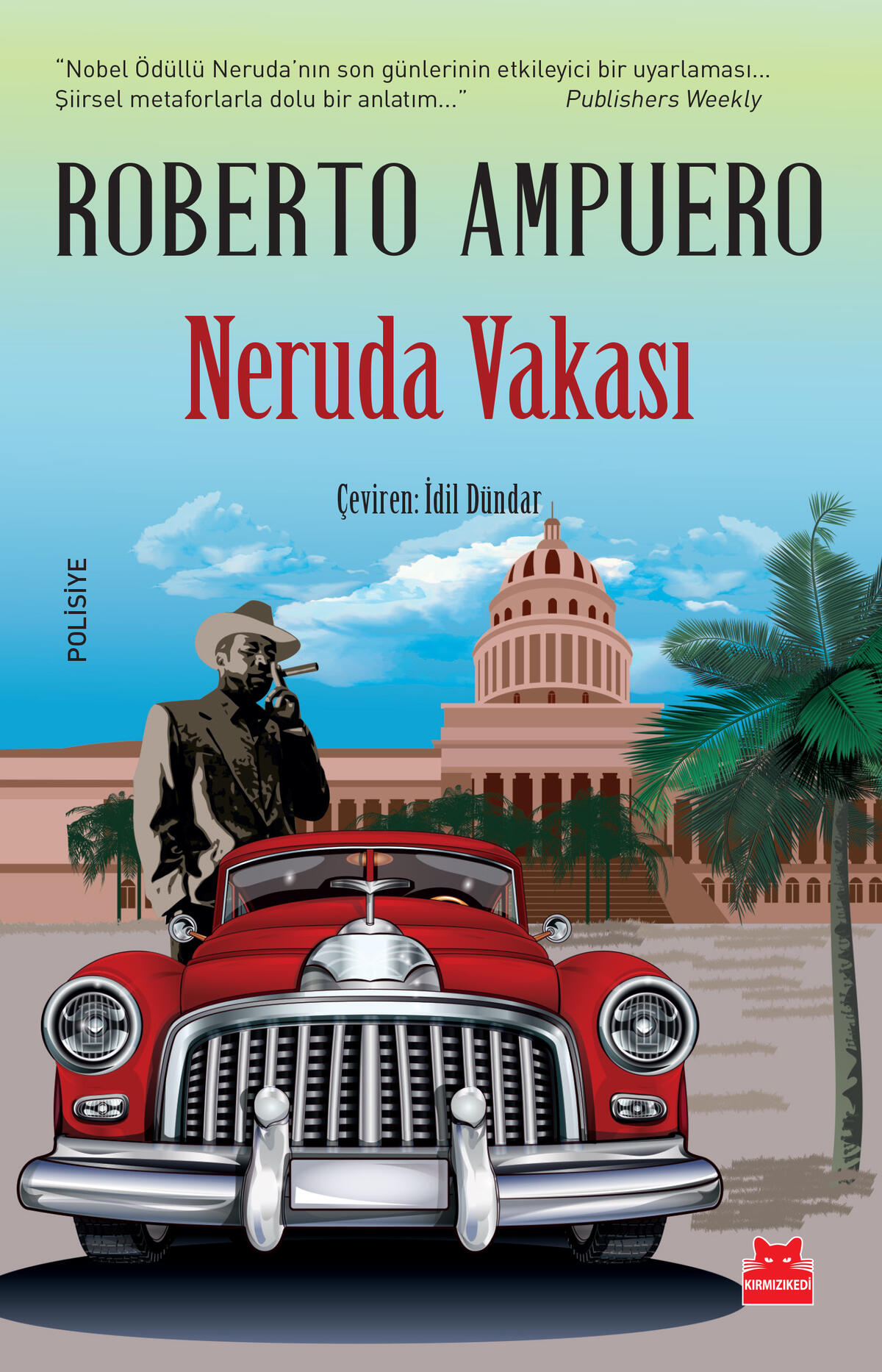 Kırmızı Kedi