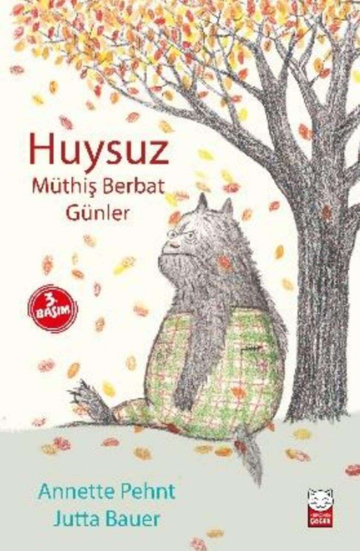 Kırmızı Kedi