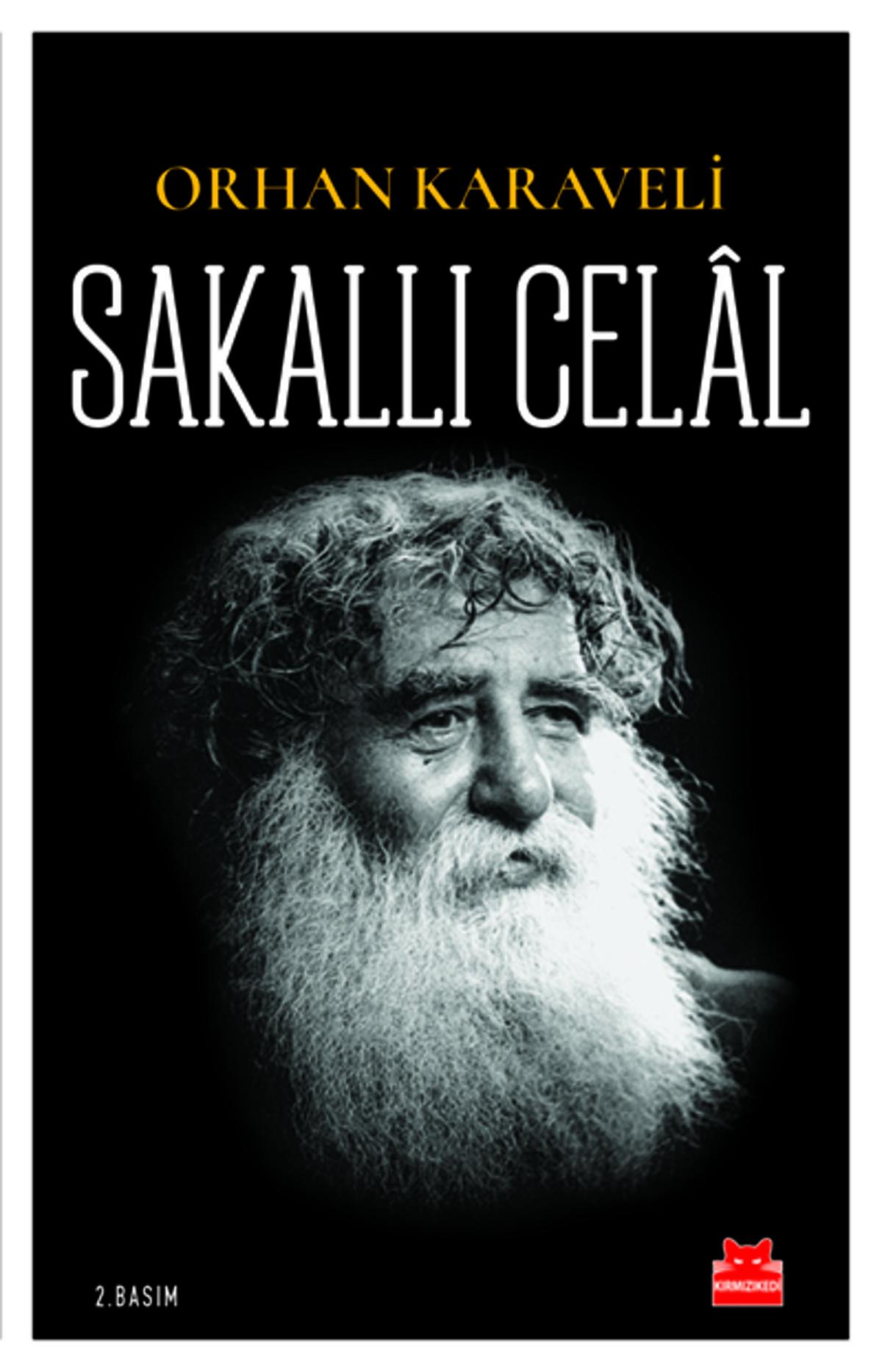 Kırmızı Kedi