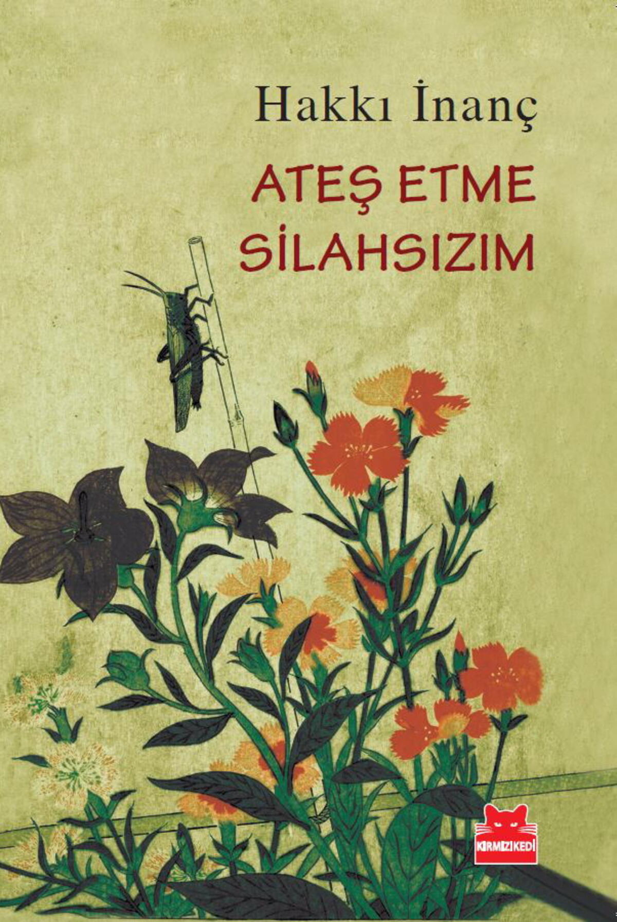 Kırmızı Kedi