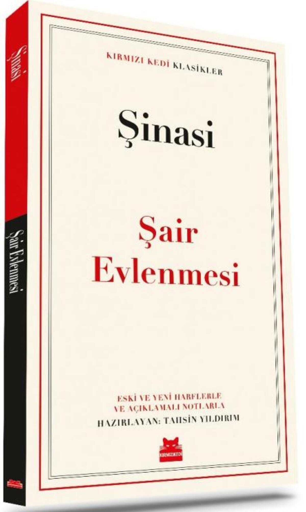 Kırmızı Kedi
