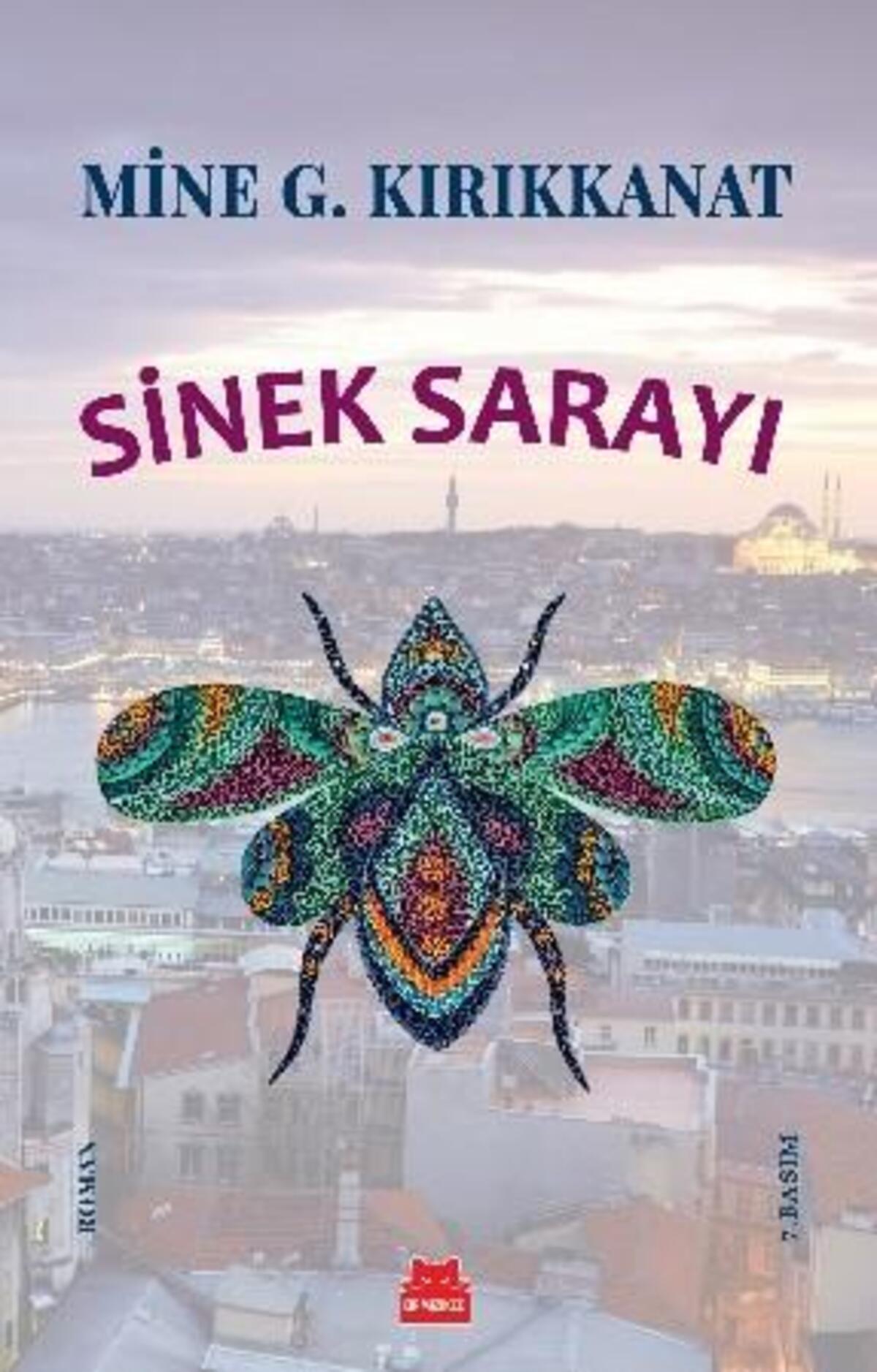 Kırmızı Kedi