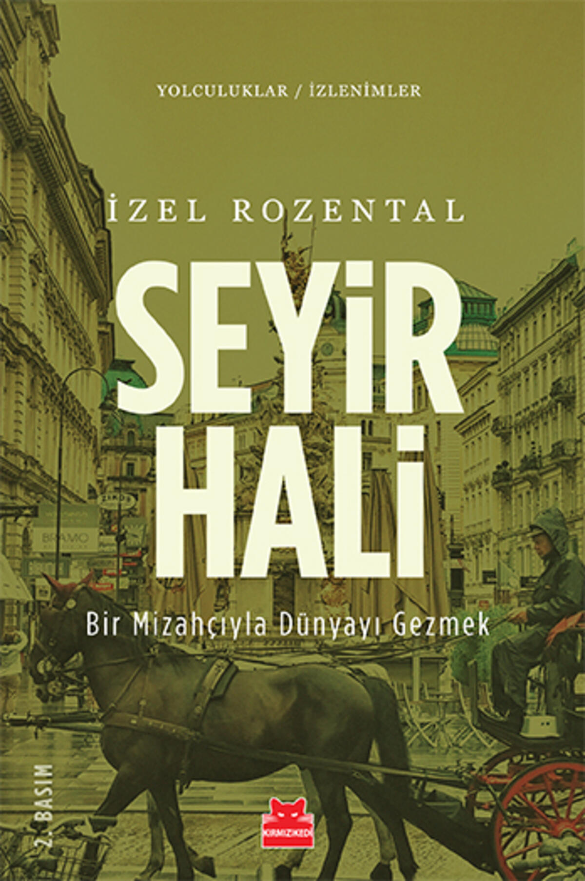 Kırmızı Kedi