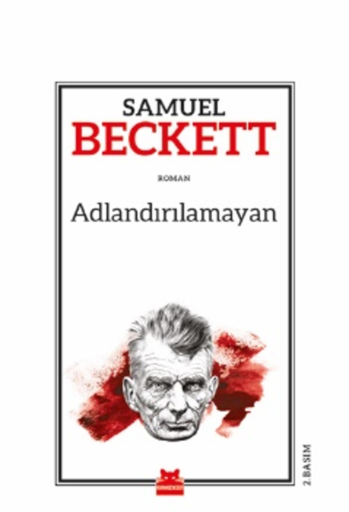 Kırmızı Kedi