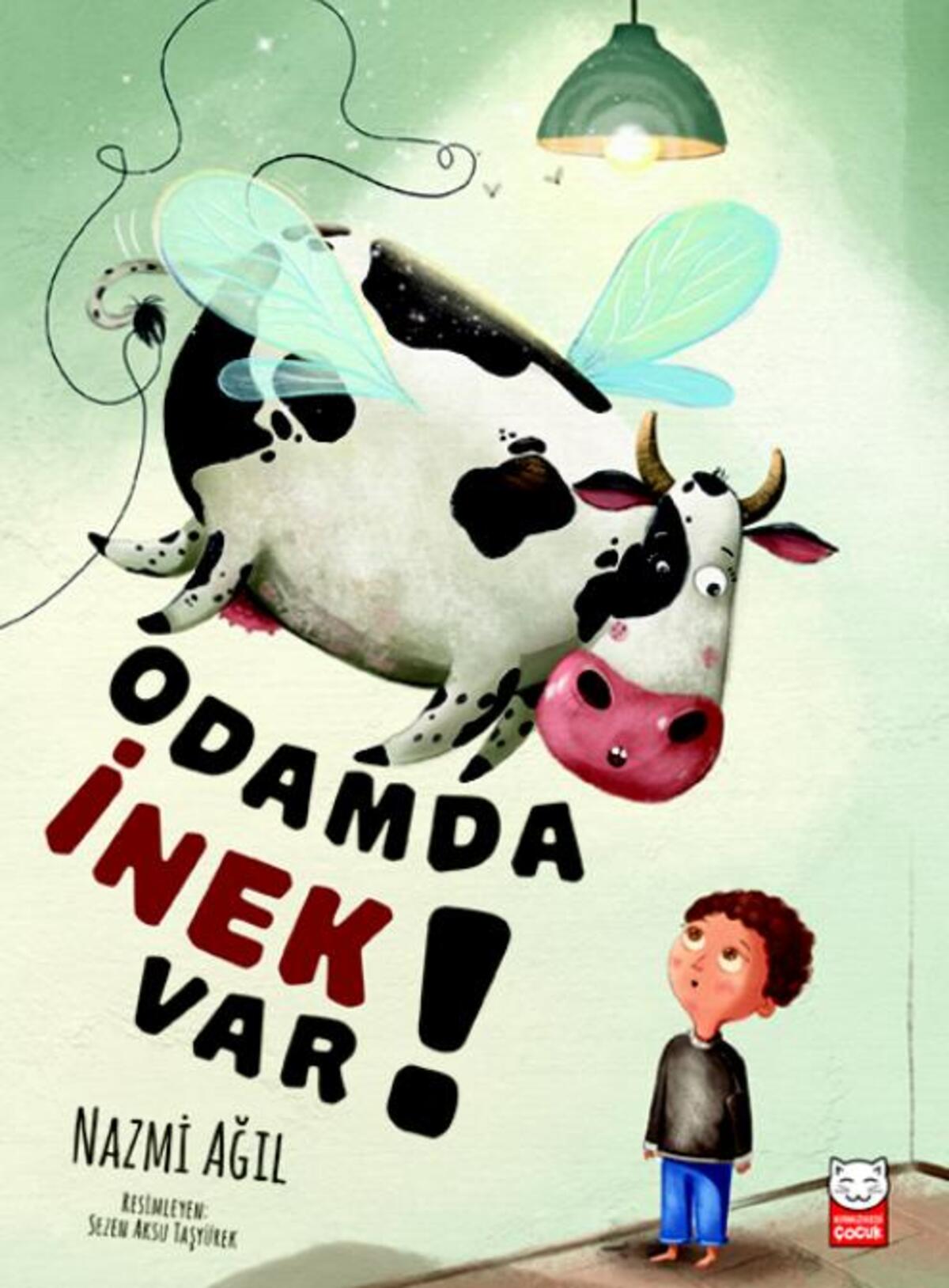 Kırmızı Kedi