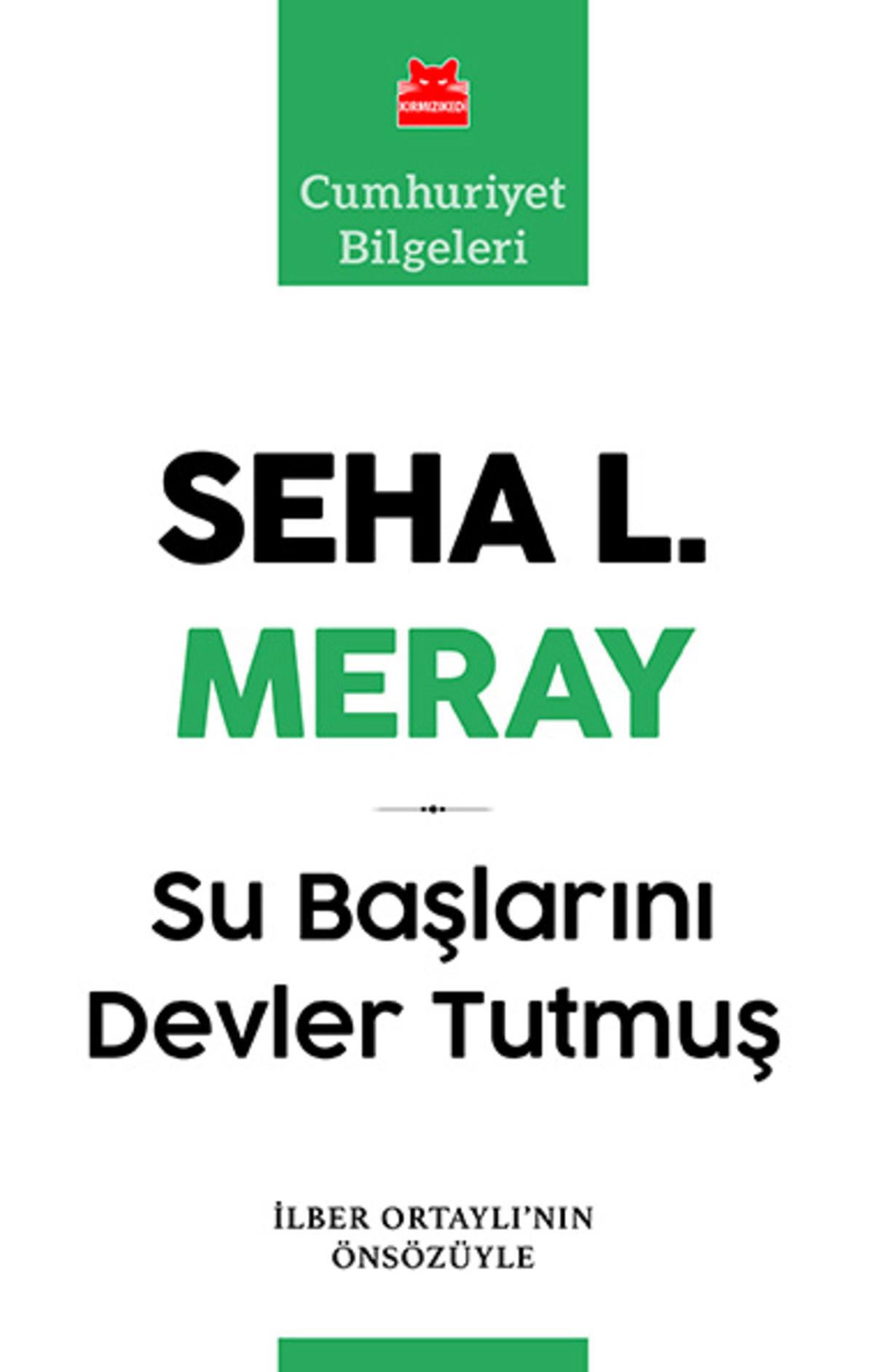 Kırmızı Kedi