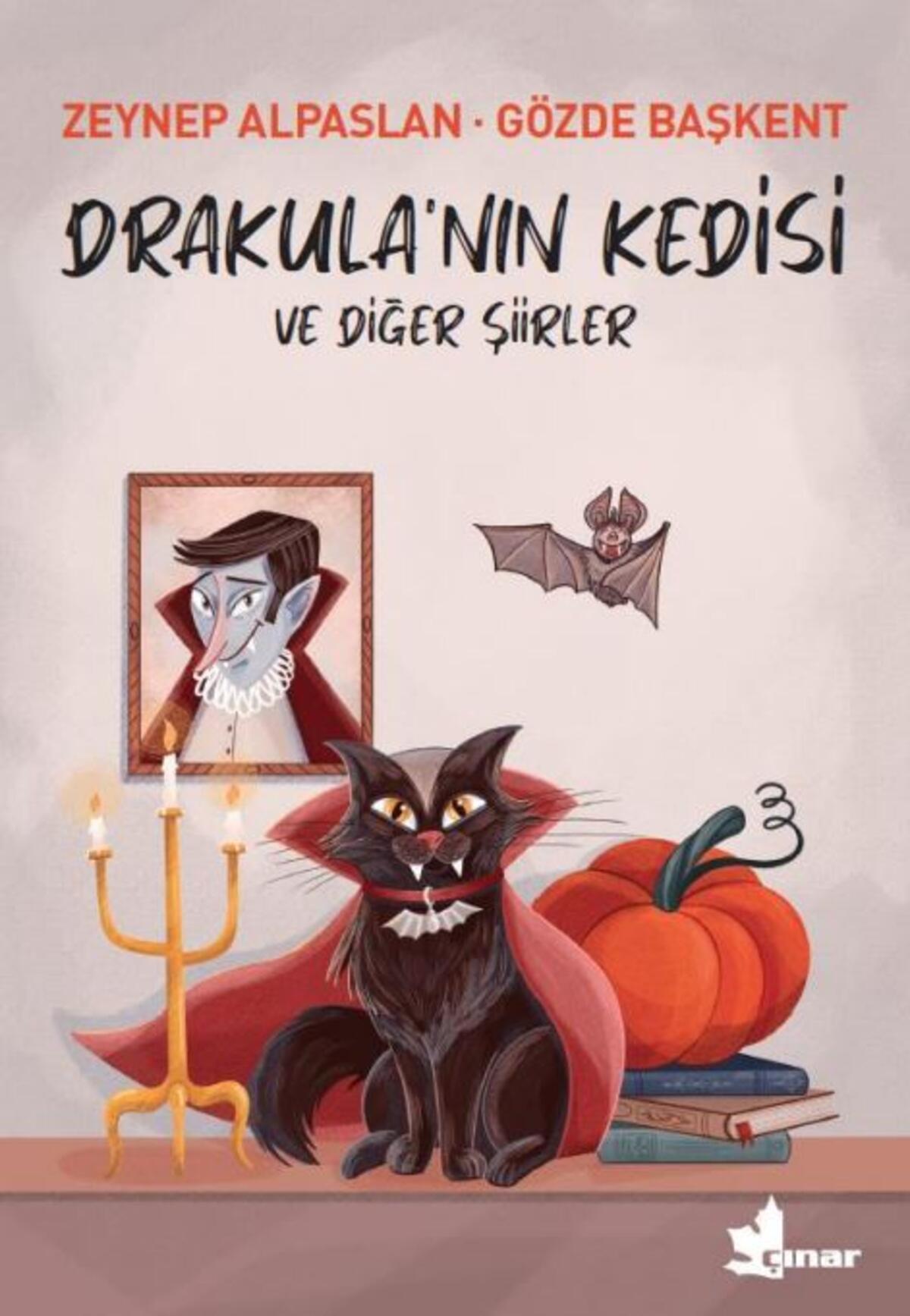 Kırmızı Kedi