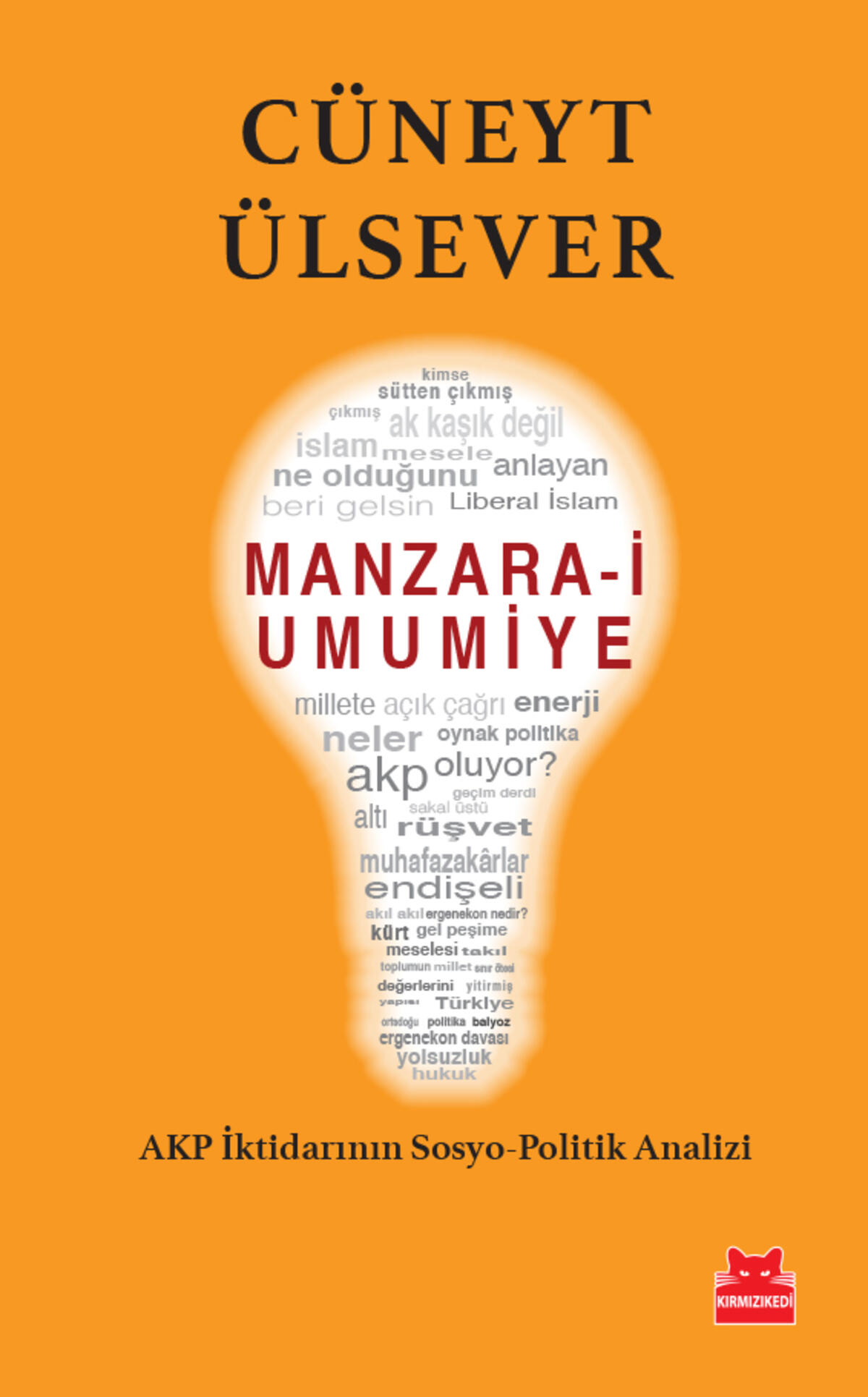 Kırmızı Kedi