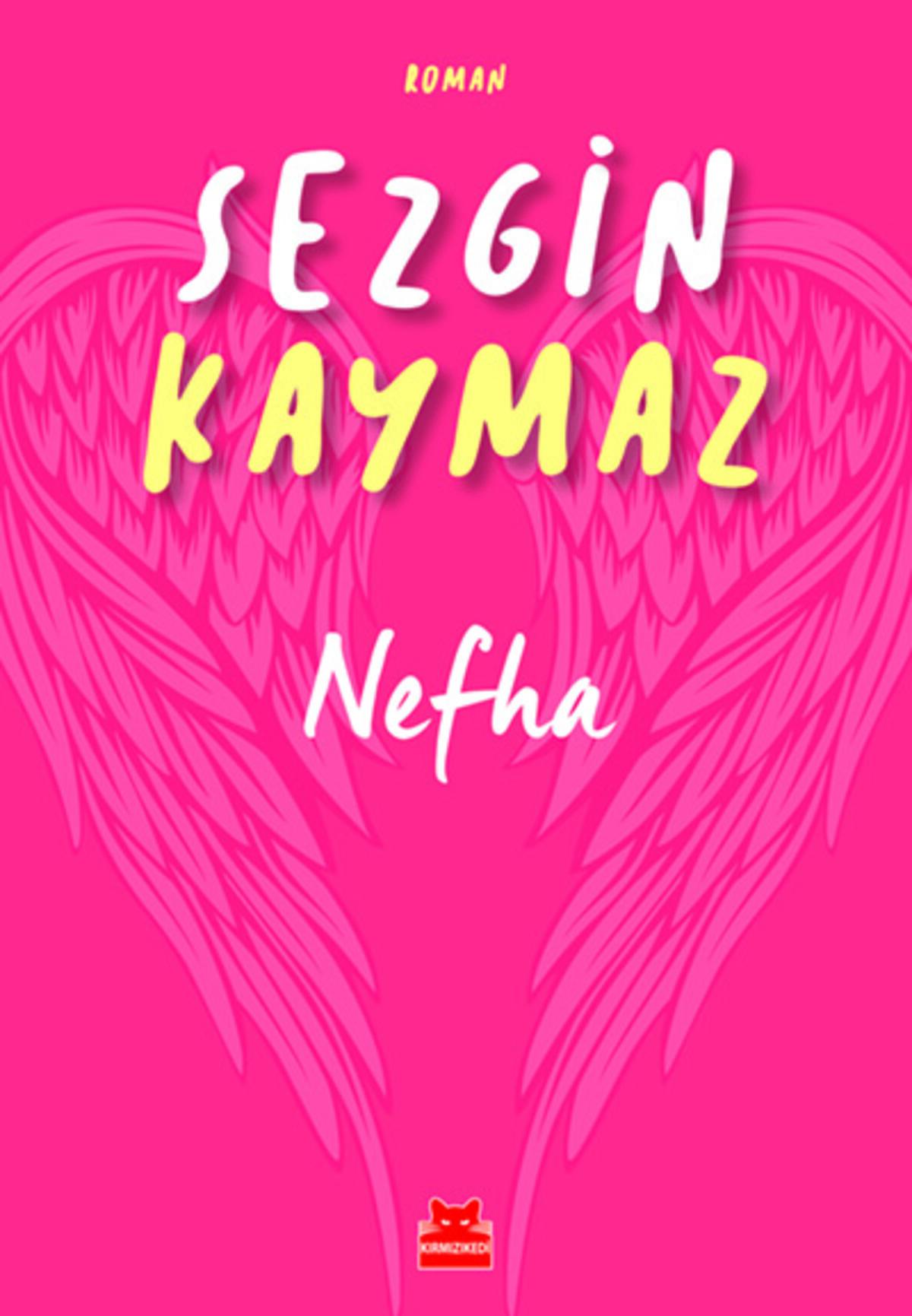 Kırmızı Kedi