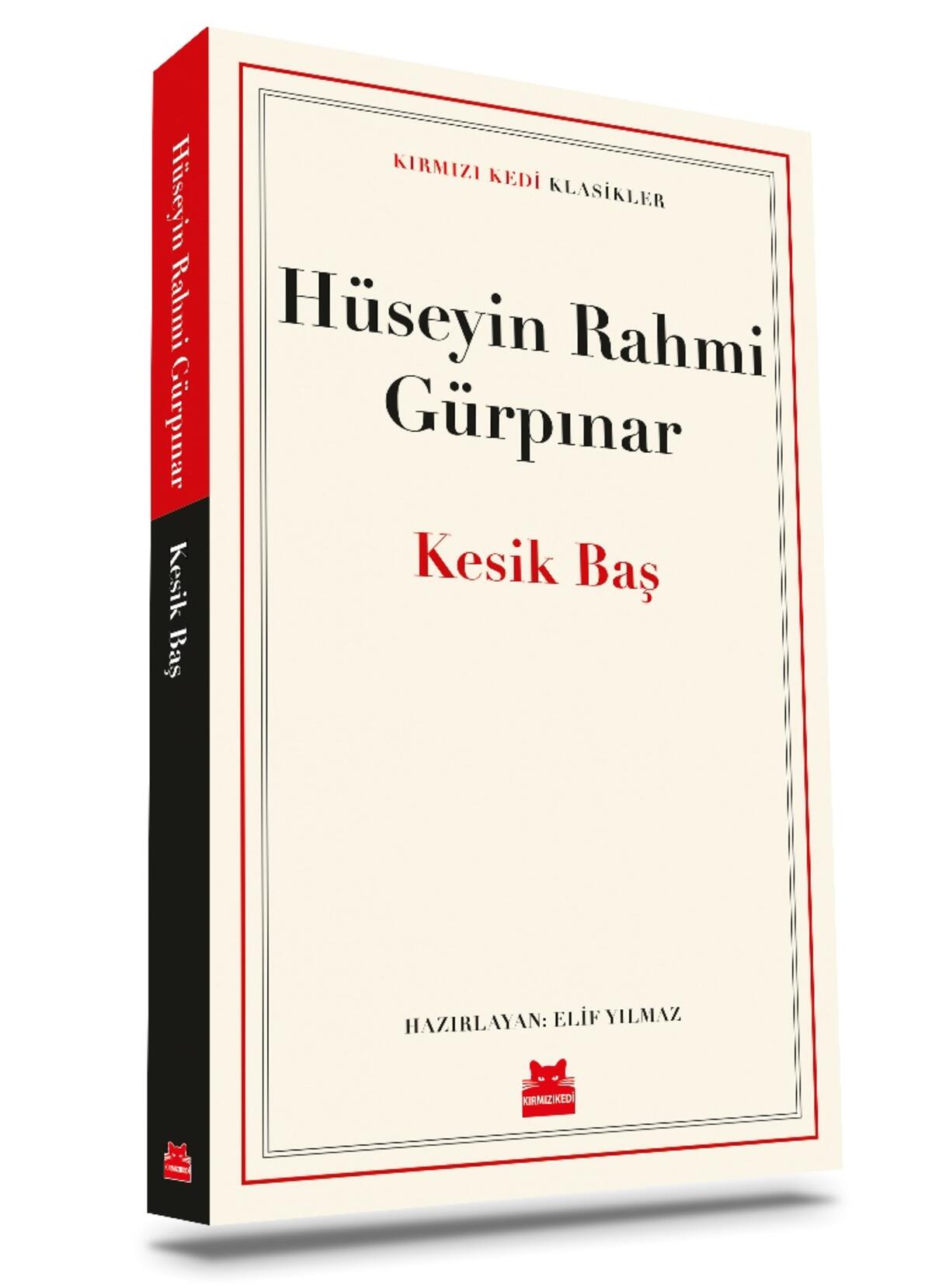 Kırmızı Kedi