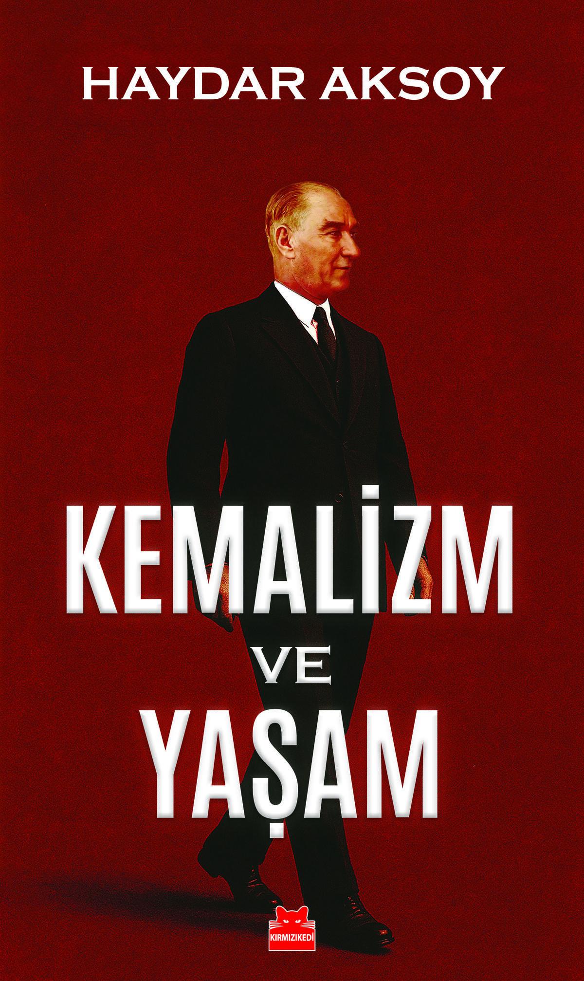 Kırmızı Kedi
