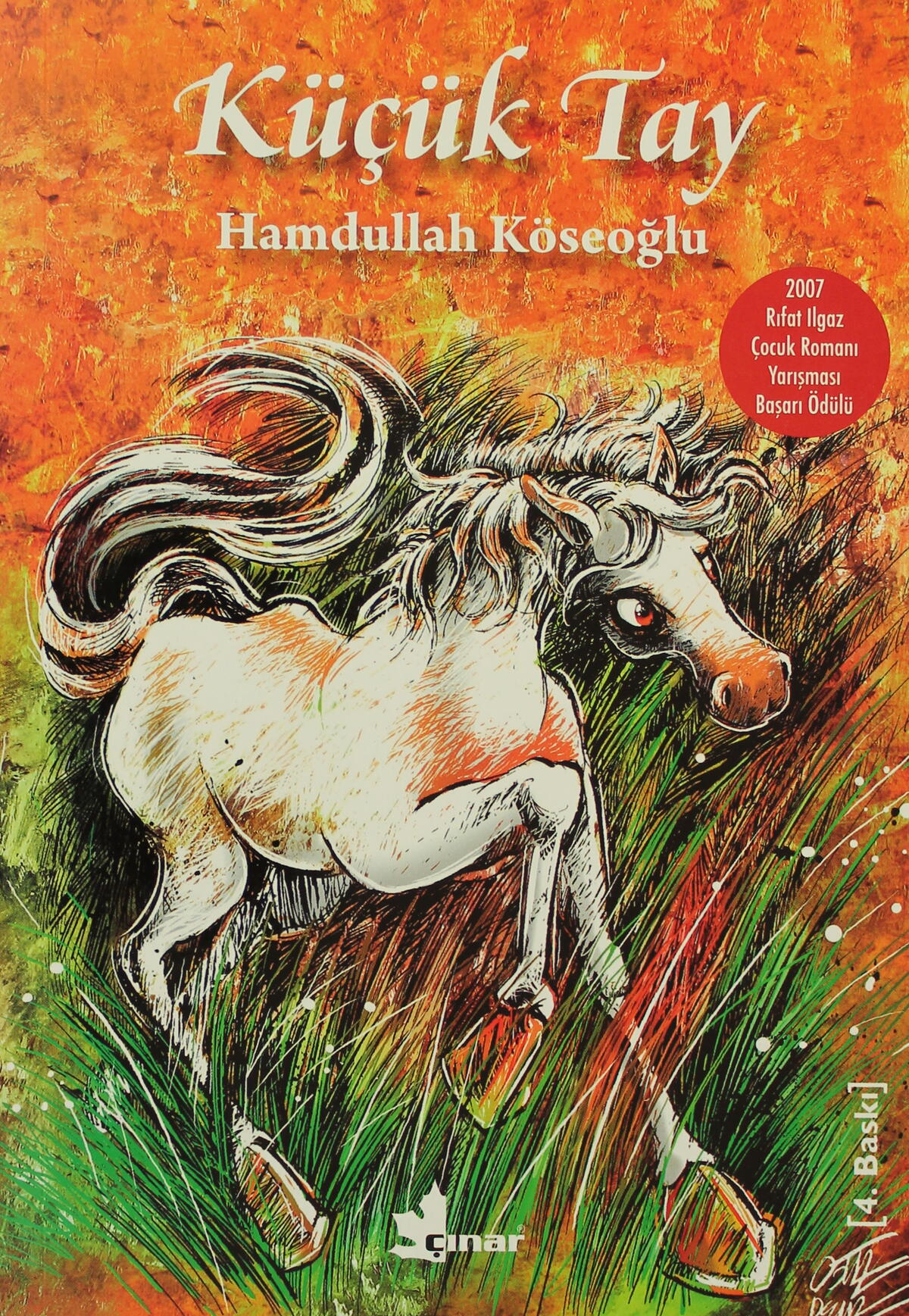 Kırmızı Kedi