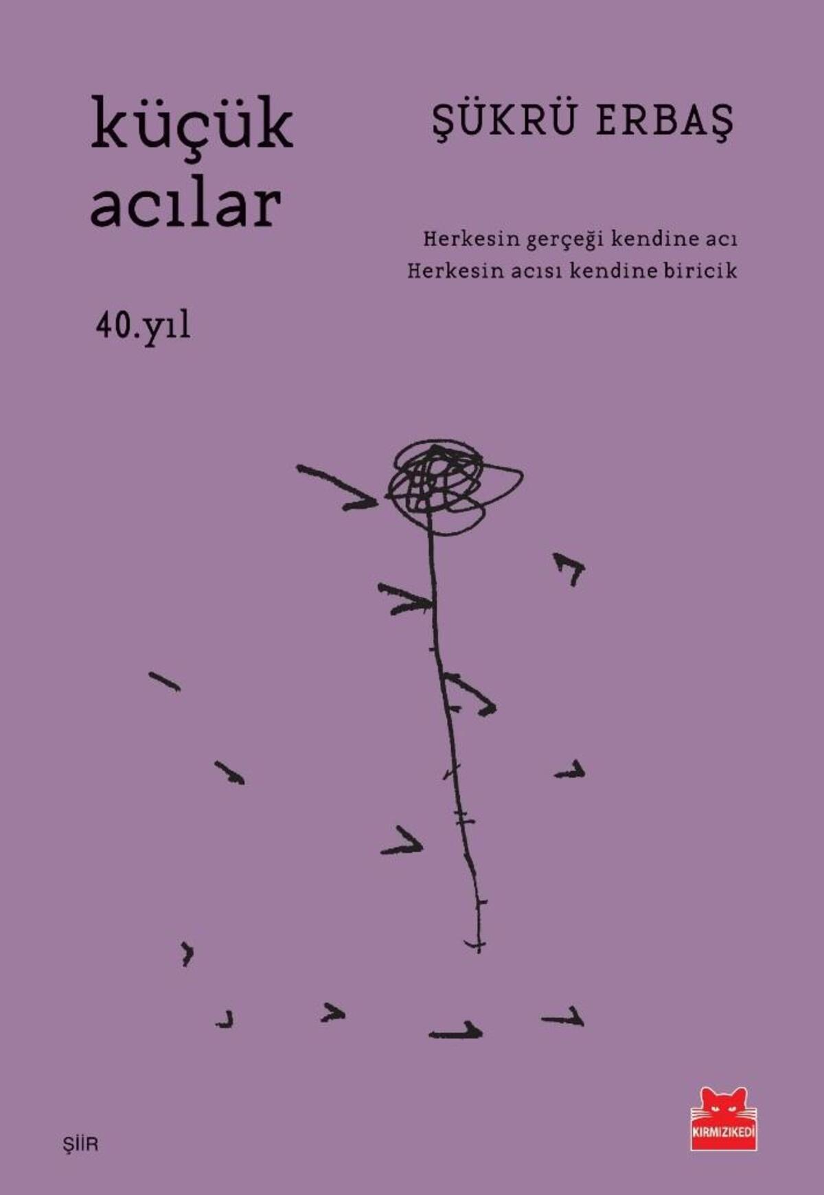 Kırmızı Kedi