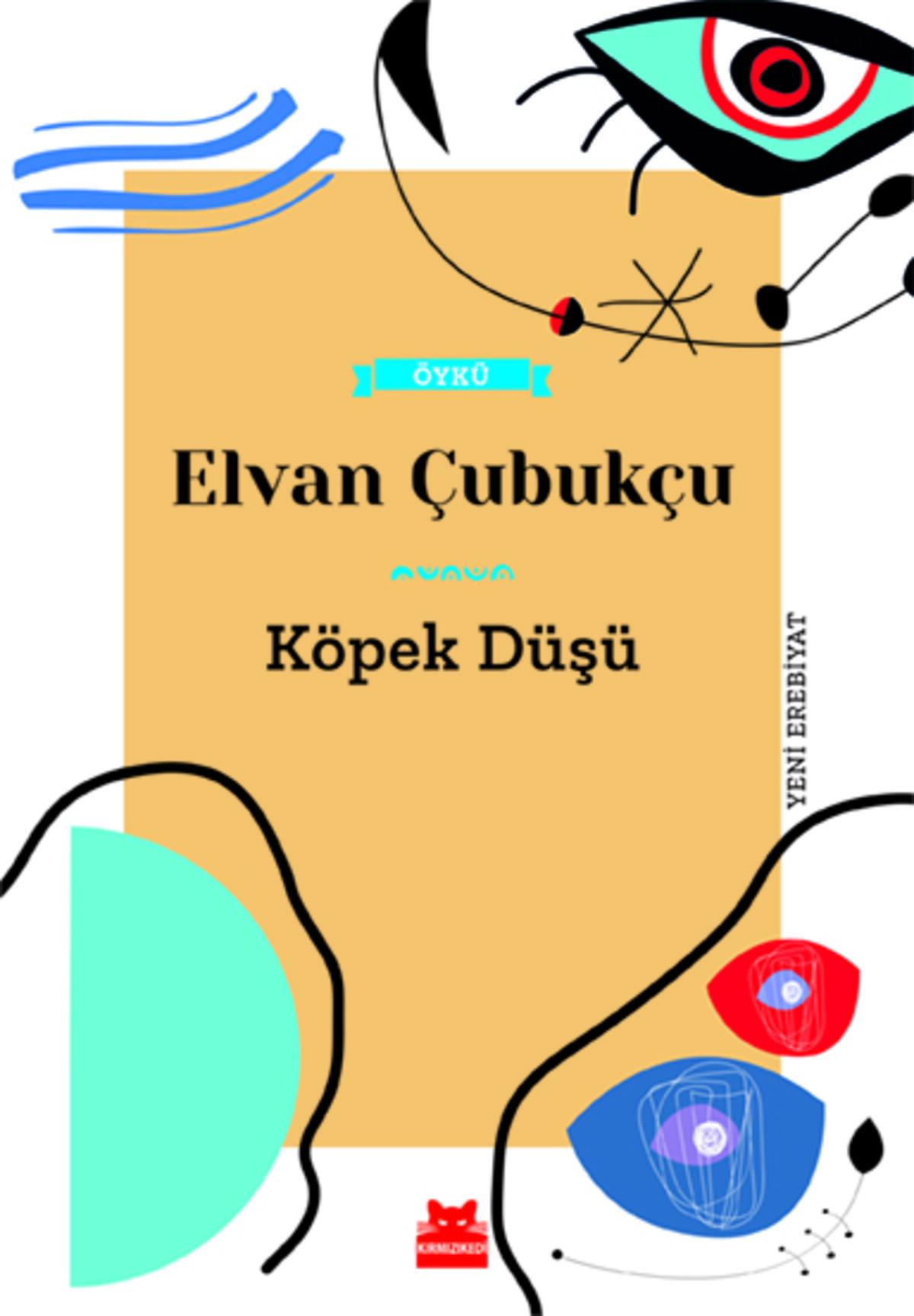 Kırmızı Kedi