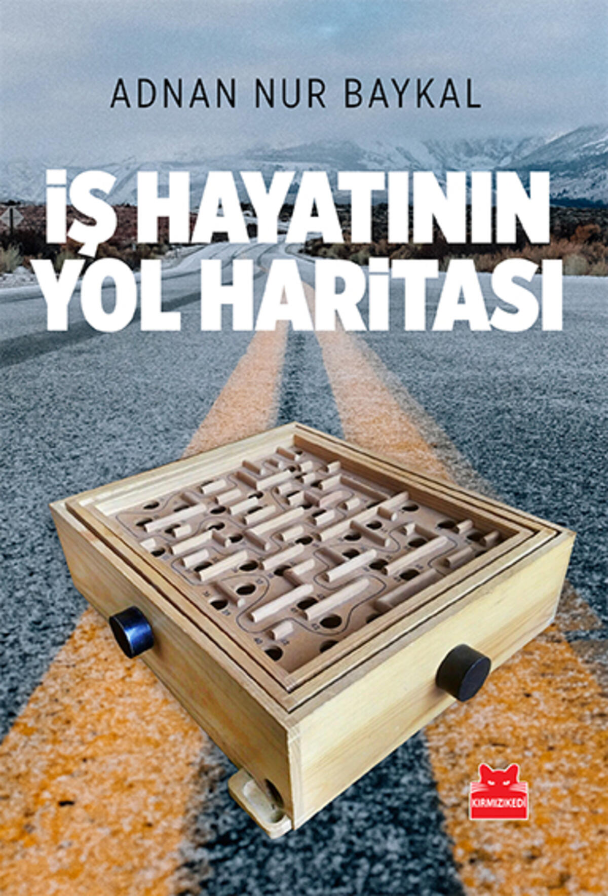 Kırmızı Kedi