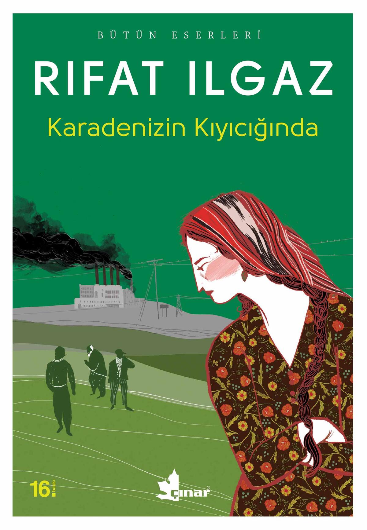 Kırmızı Kedi