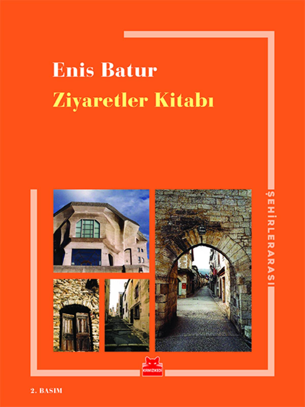 Kırmızı Kedi