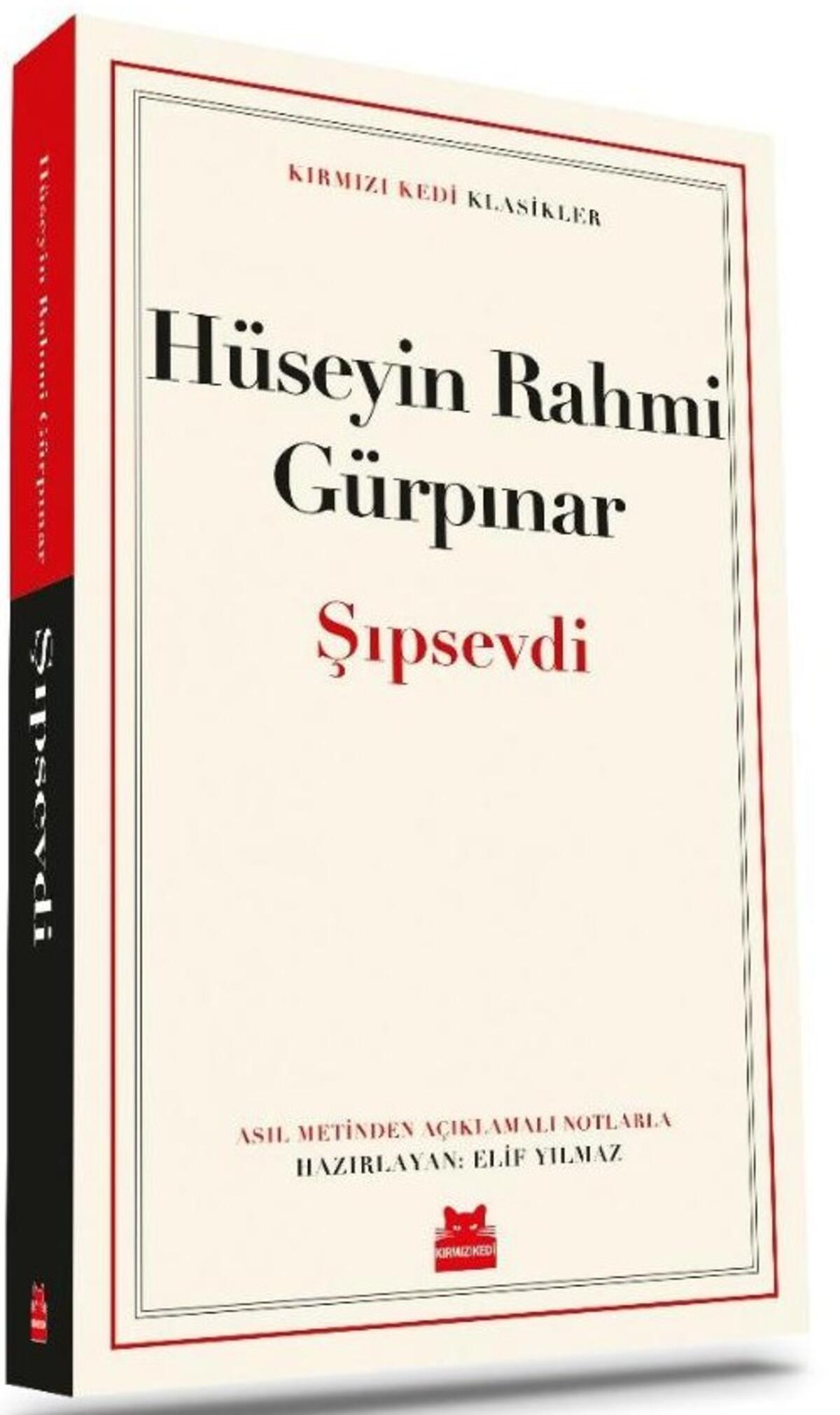 Kırmızı Kedi