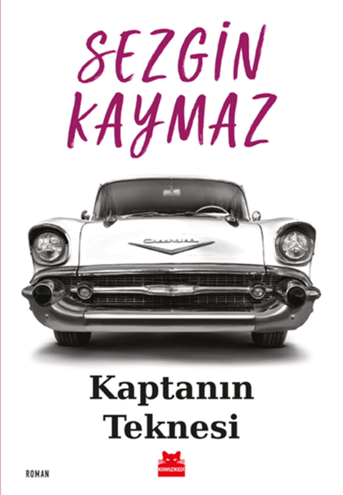 Kırmızı Kedi