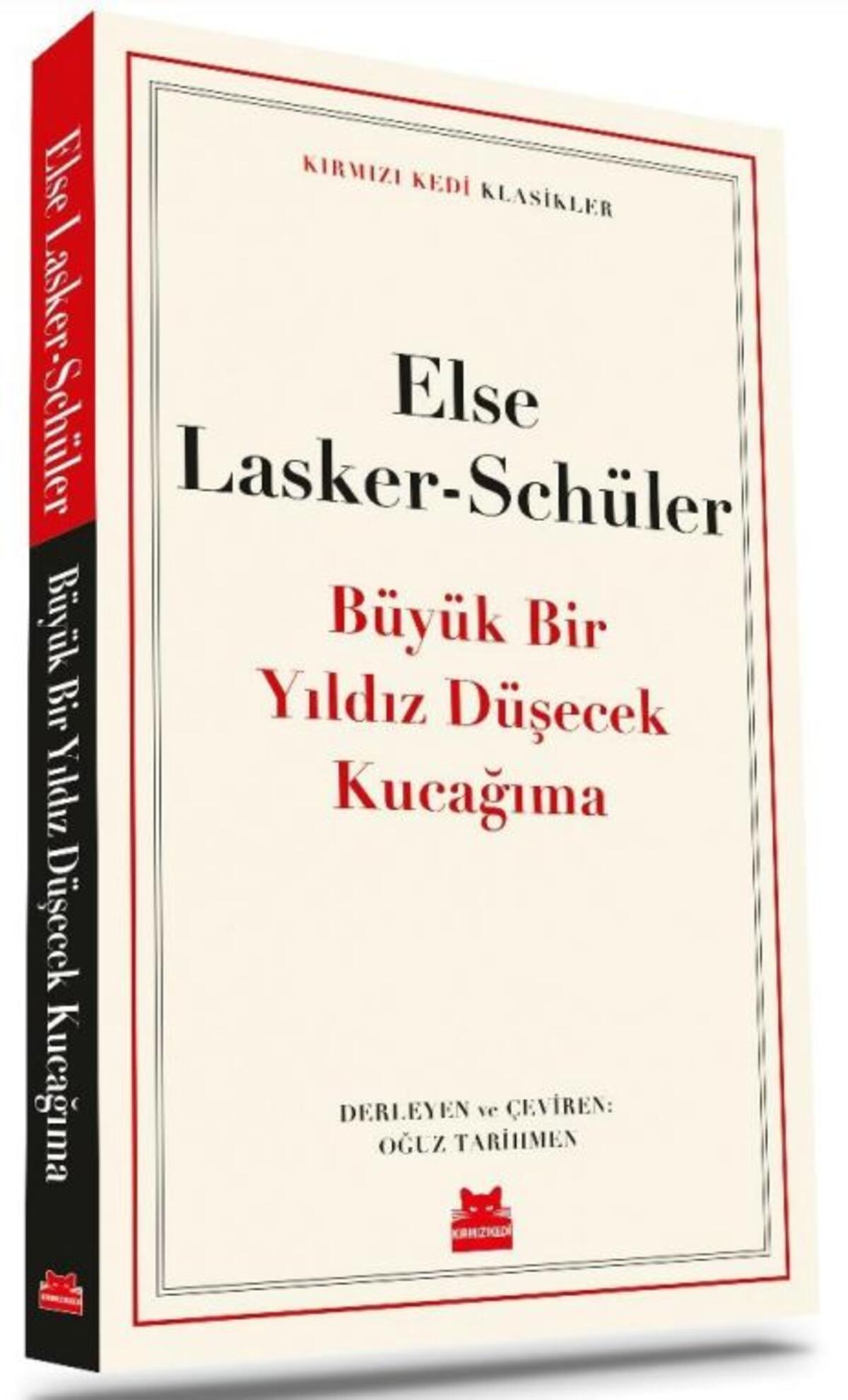 Kırmızı Kedi