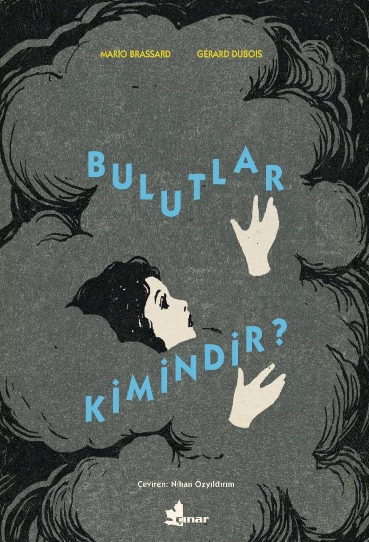 Kırmızı Kedi