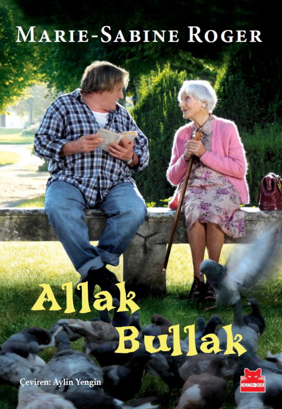 Kırmızı Kedi