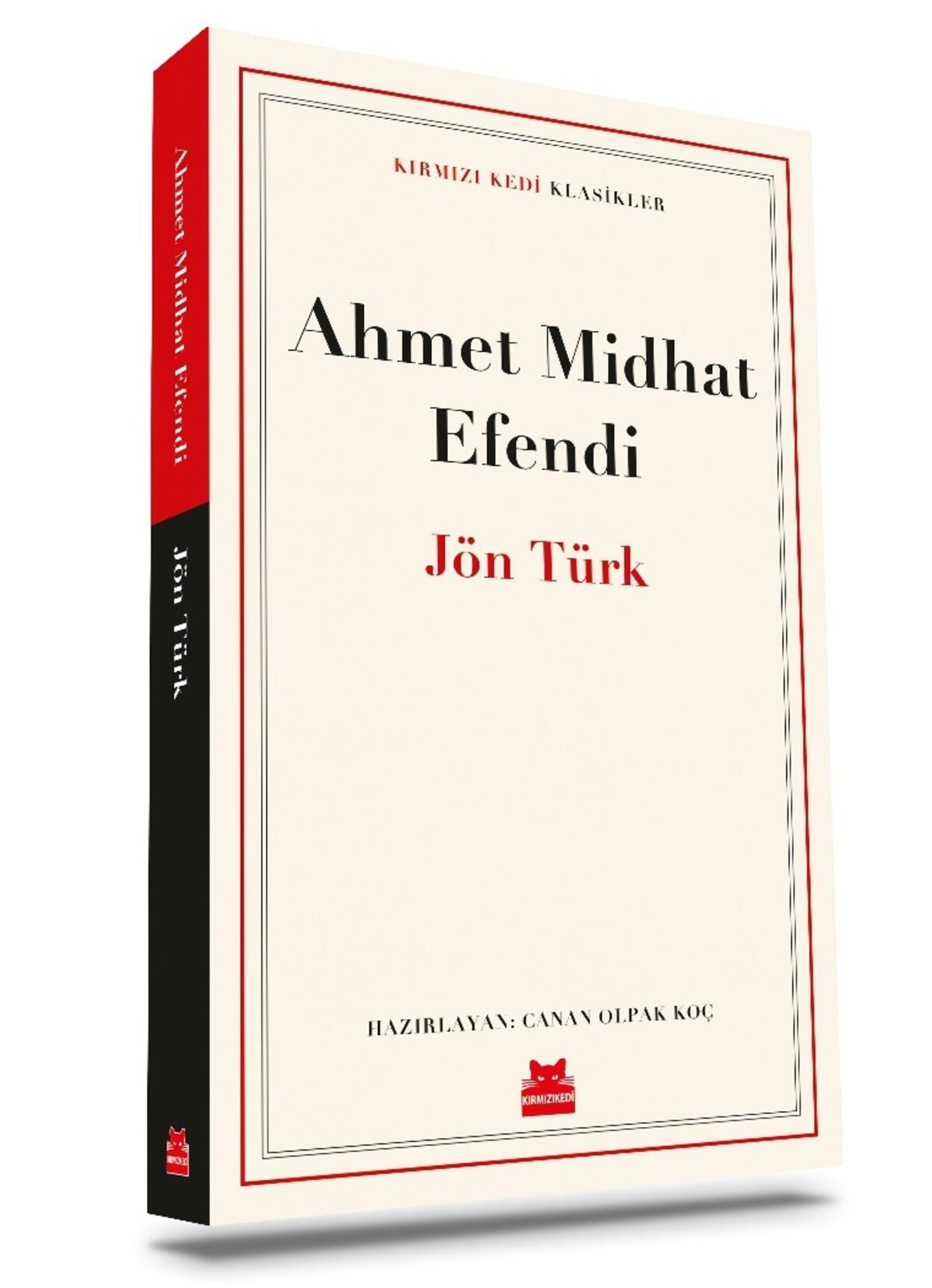 Kırmızı Kedi