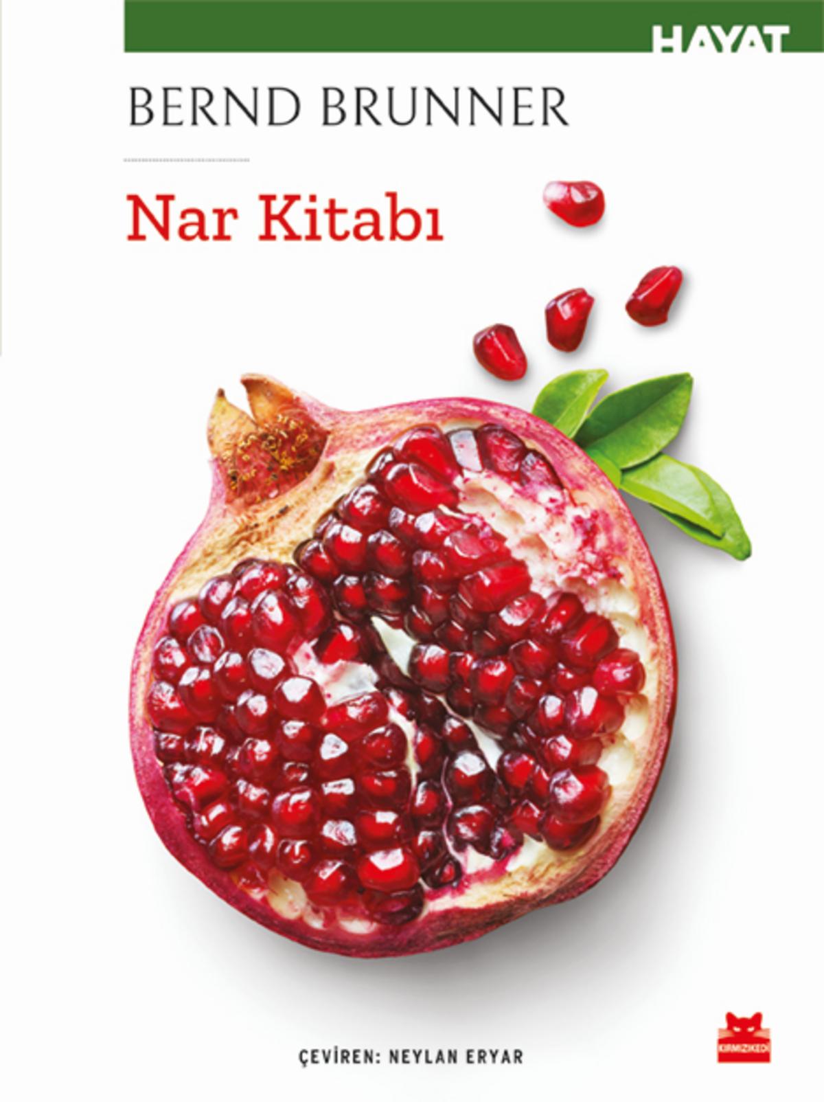 Kırmızı Kedi