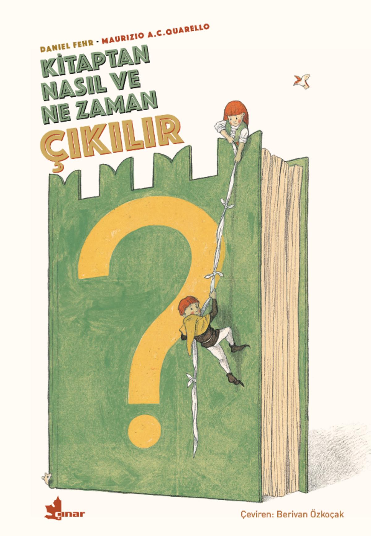 Kırmızı Kedi