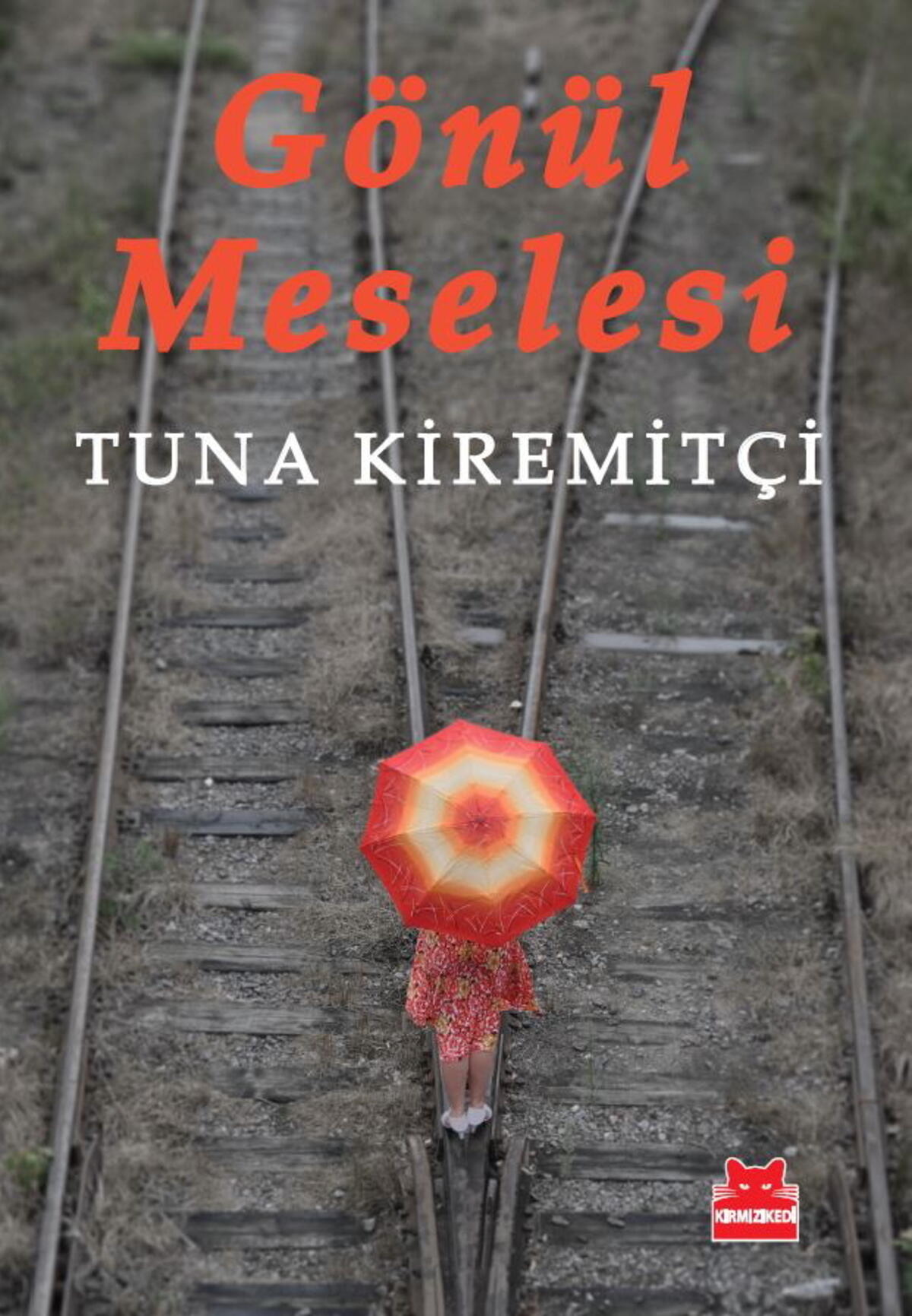 Kırmızı Kedi