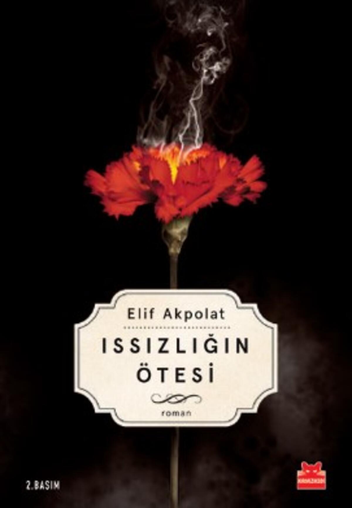 Kırmızı Kedi