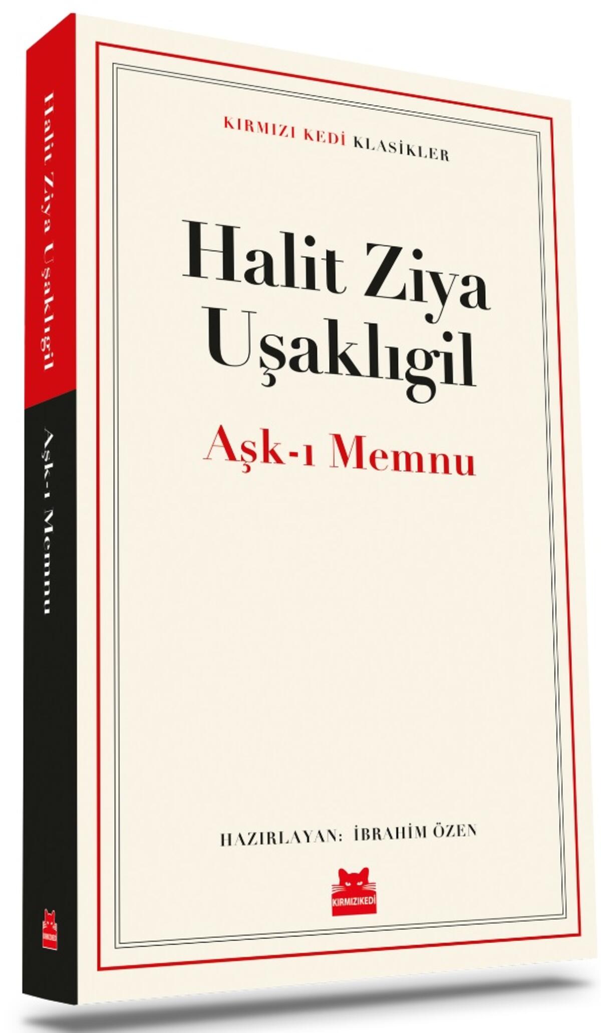 Kırmızı Kedi