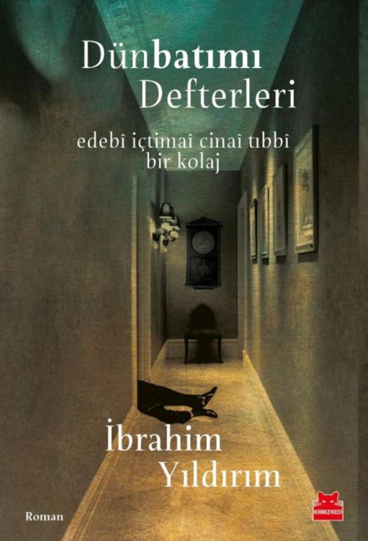 Kırmızı Kedi