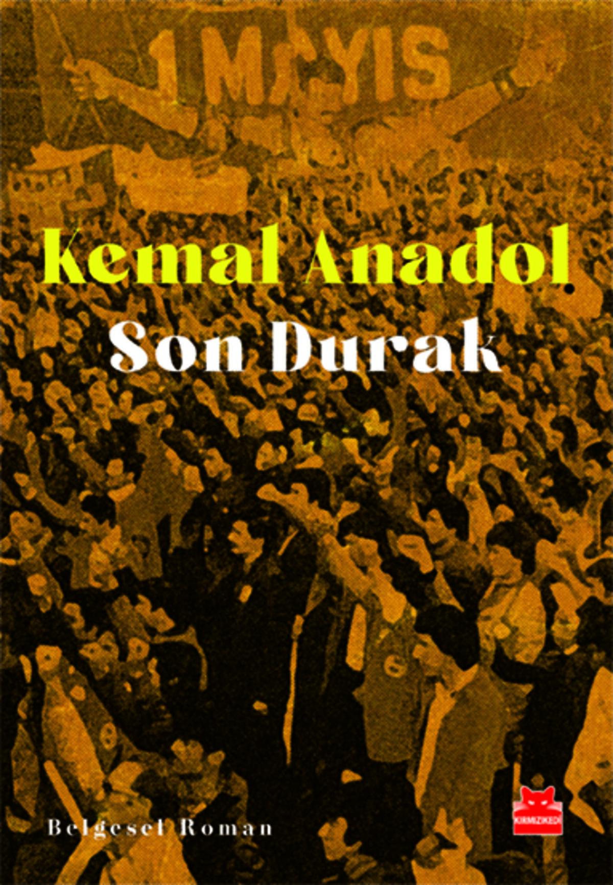 Kırmızı Kedi