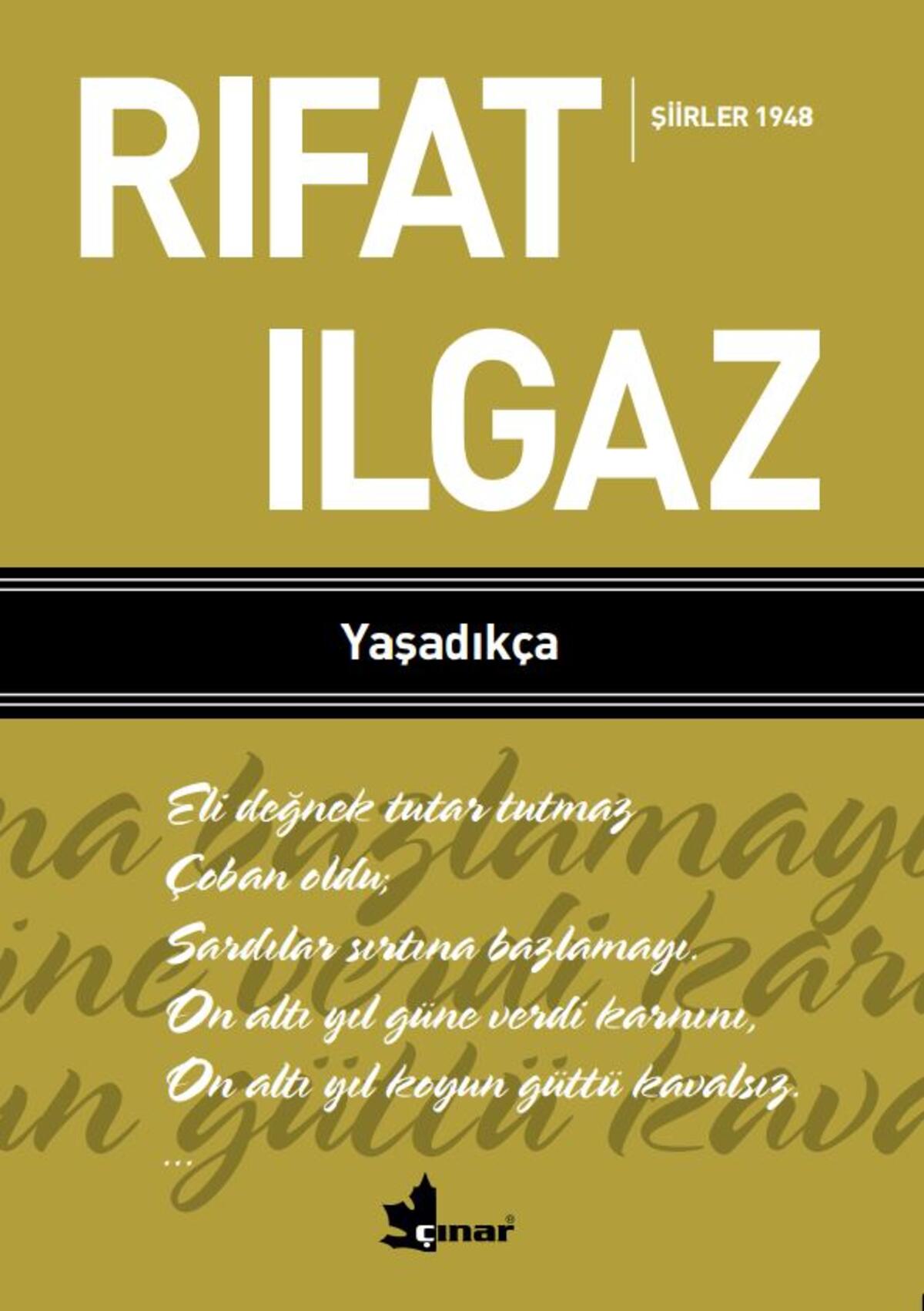 Kırmızı Kedi