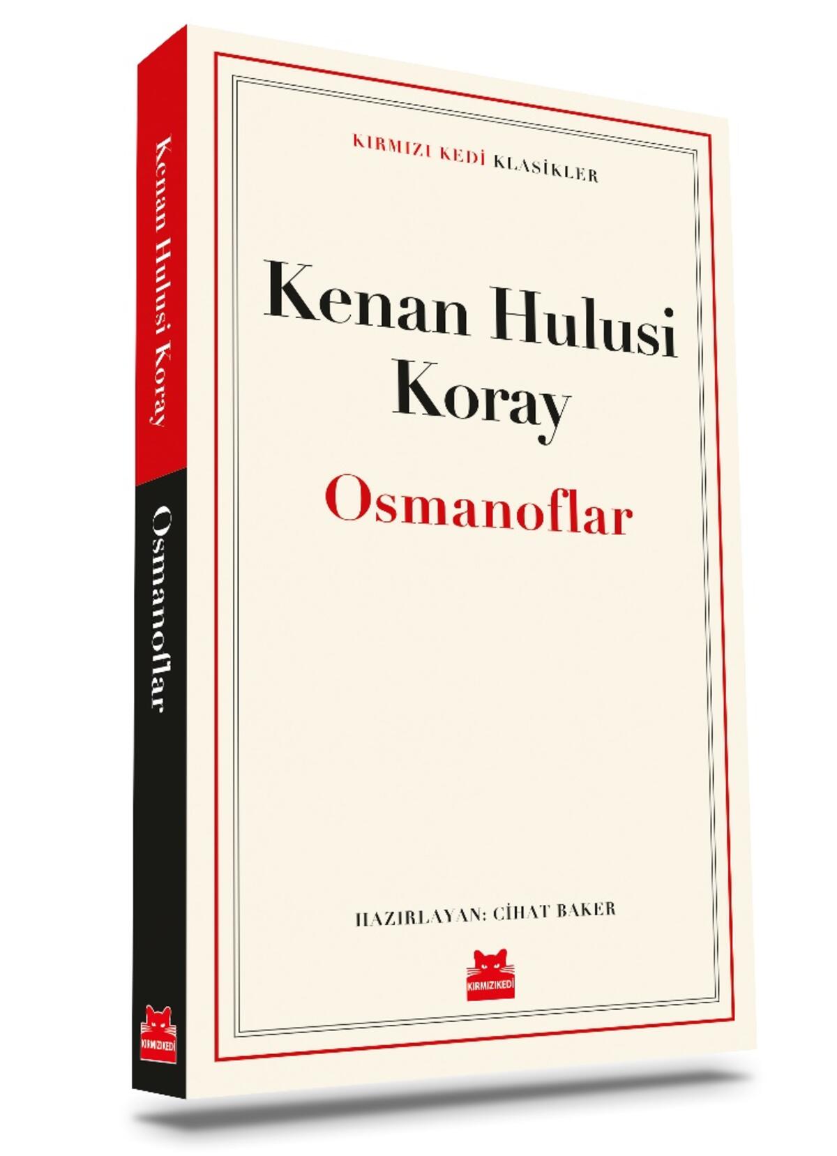 Kırmızı Kedi