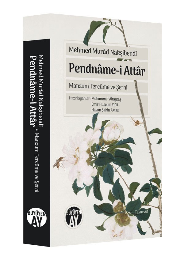 Kökler Kitab
