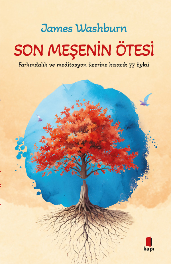 Kapı Yayınları