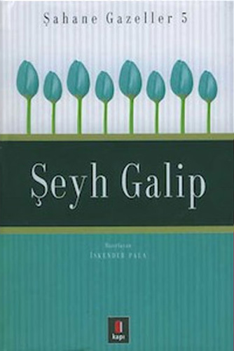 Kapı Yayınları