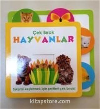 Kitap Store
