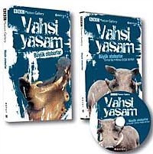 Kitap Store